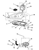 Washer drive system, pump