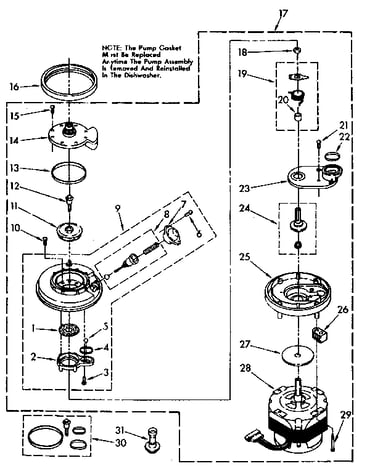 Pump and motor