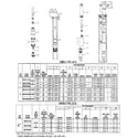 Craftsman 390251180 single and double pipe jets diagram