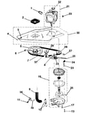 Washer drive system, pump