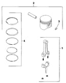 Piston & rod - group 22