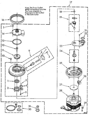 Pump and motor