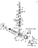 Motor and pump assembly