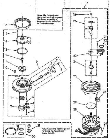 Pump and motor