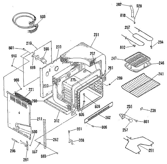 BODY SECTION