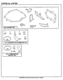 Gasket set and carburetor overhaul kit