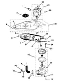 Washer drive system, pump
