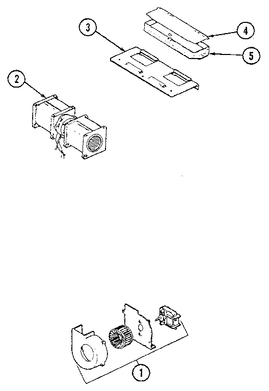 Blower motor