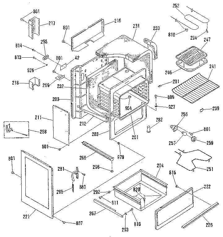 BODY SECTION