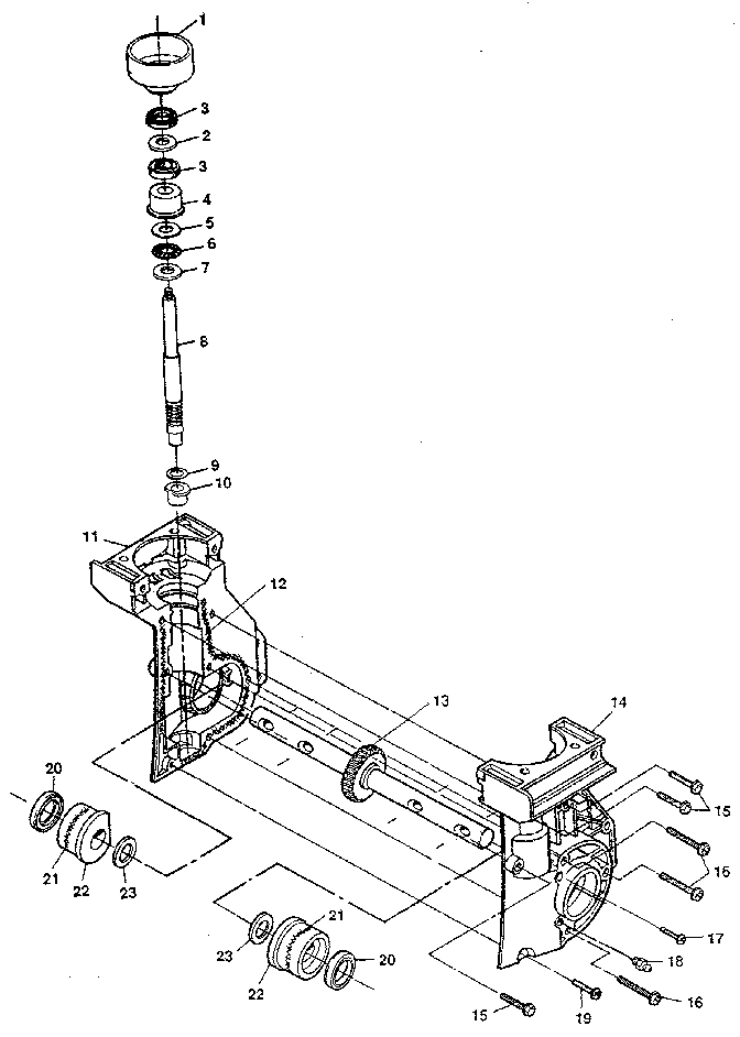 Tine shaft and gear assembly