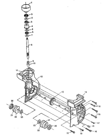 Tine shaft and gear assembly