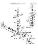Motor-pump assembly
