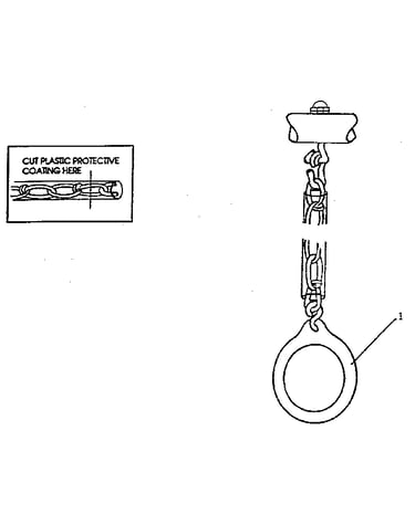 Gym ring assembly