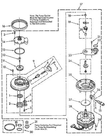Pump and motor
