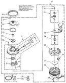 Pump and motor