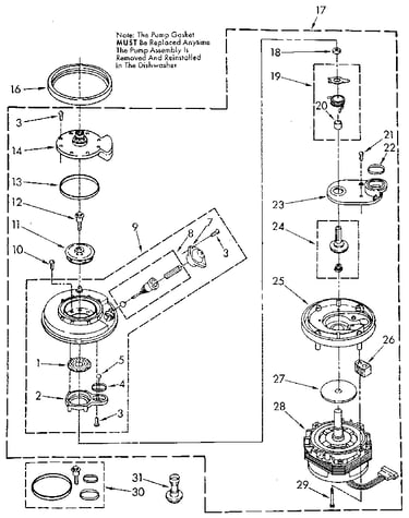 Pump and motor