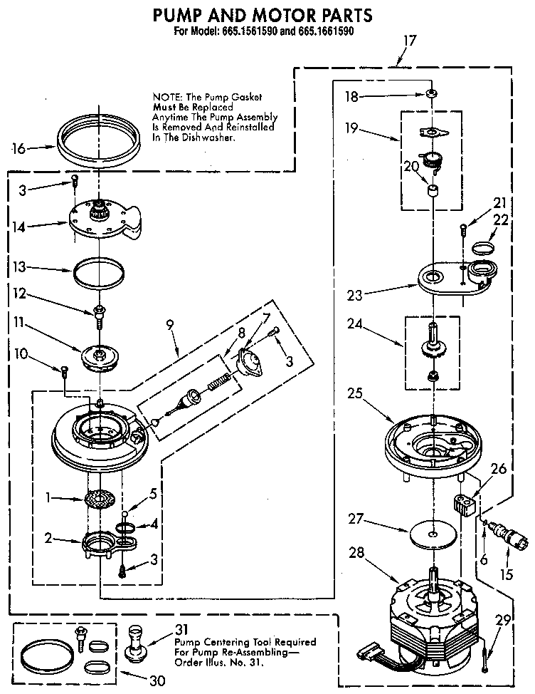 Pump and motor