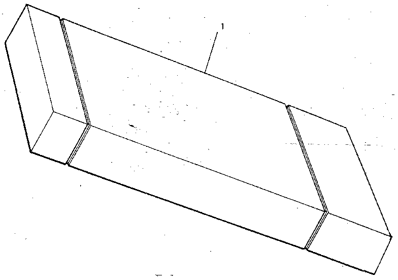 Case
