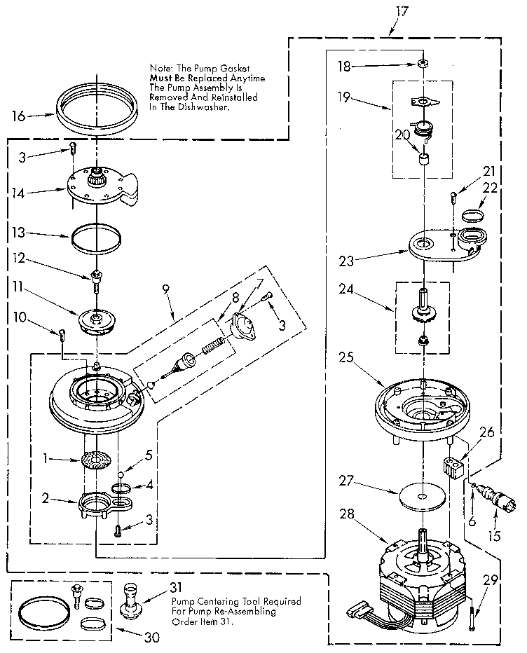 Pump and motor
