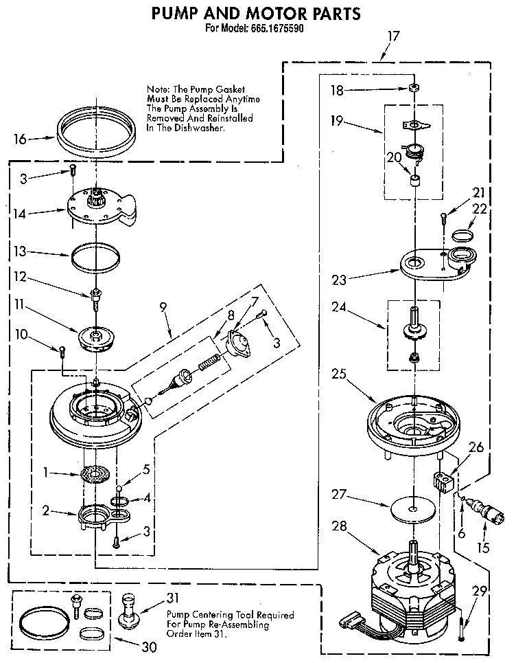 Pump and motor