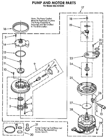 Pump and motor