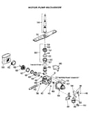 Pump and motor