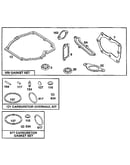 Carburetor overhaul kit and gasket set