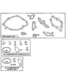Carburetor overhaul kit and gasket set
