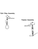 Gym ring and trapeze assembly