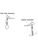 Gym ring and trapeze assembly