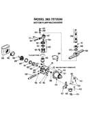 Motor pump mechanism