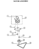 Motor assembly