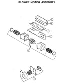 Blower motor assembly