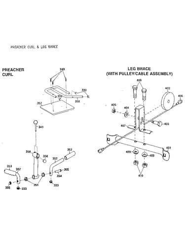 Preacher curl & leg brace