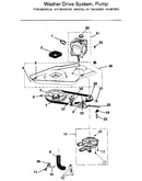 Washer drive system, pump