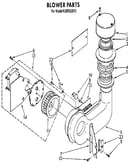 Blower