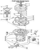 Pump and motor