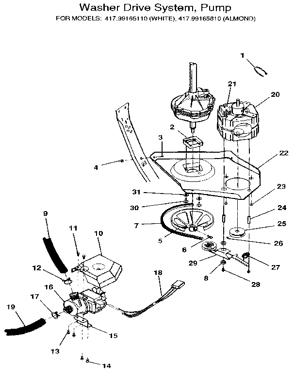 Motor and pump