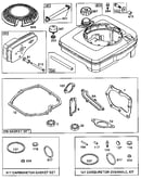 Fuel tank assembly and gasket set/carburetor overhaul kit