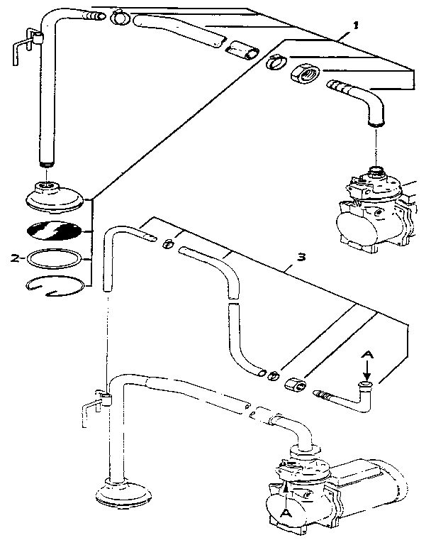 Hose