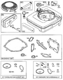 Fuel tank assembly and gasket set/carburetor overhaul kit