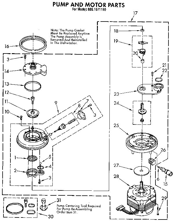 Pump and motor