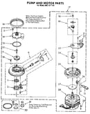 Pump and motor