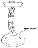 Gym ring assembly