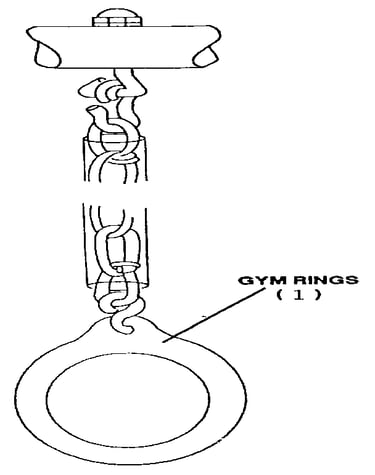Gym ring assembly
