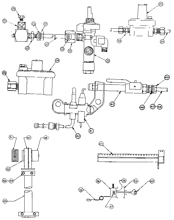 Gas burners and manifold
