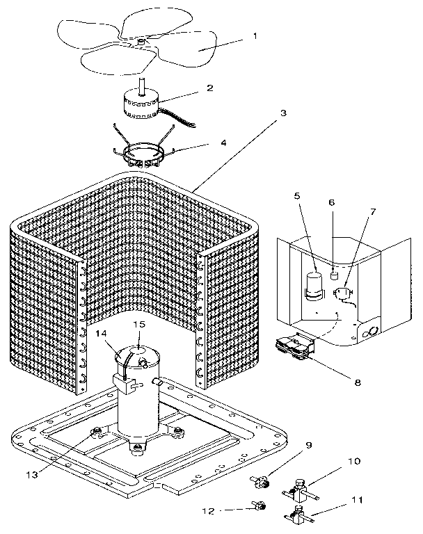 FUNCTIONAL REPLACEMENT