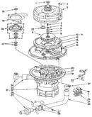 Pump and motor
