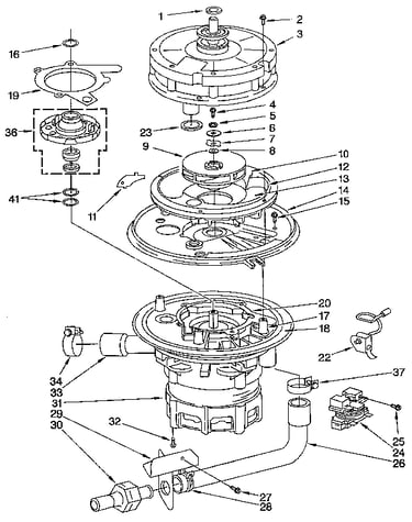 Pump and motor