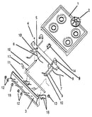 20" top and burner assembly